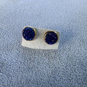 New Stainless Steel Elegant Blue and Gold Stud Earrings
